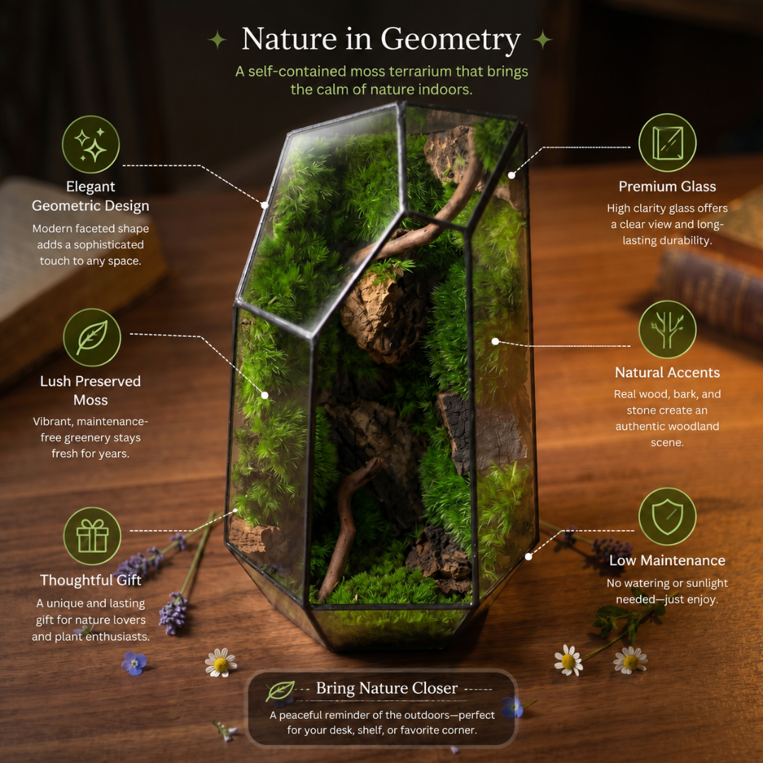 Forest Prism Terrarium – Miniature Woodland