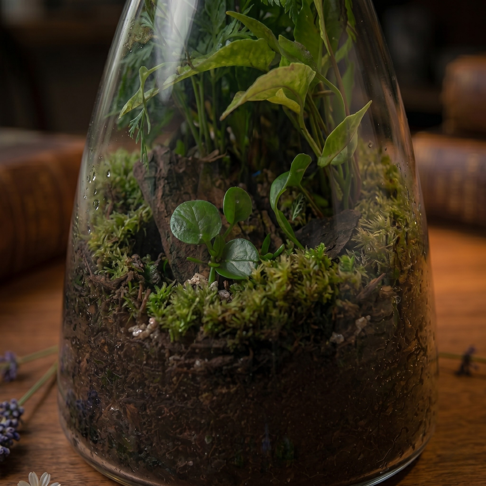 Forest Sphere Self-Sustaining Terrarium