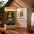 Shiva Forest Terrarium Lamp